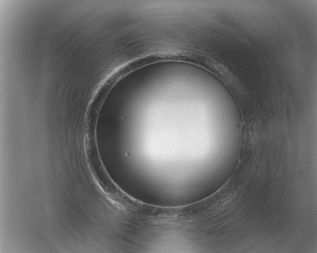 X0000052540728200507152132