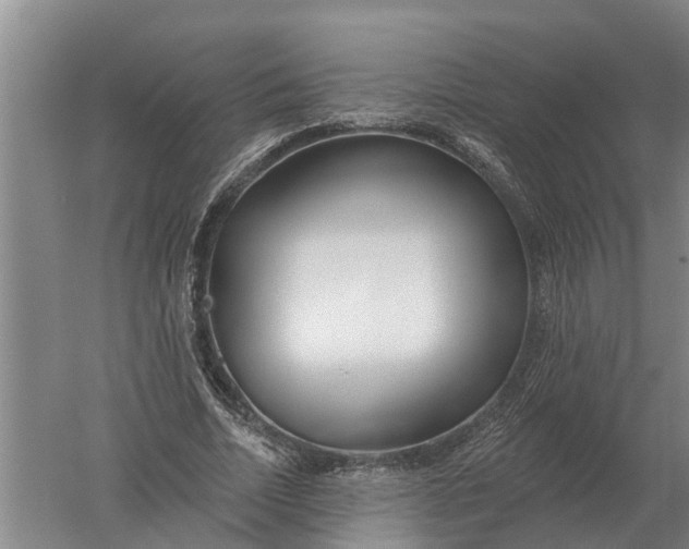 X0000052540730200507152132