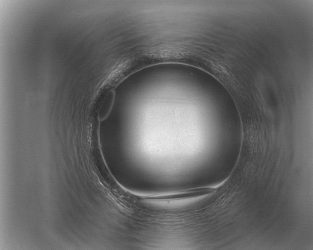 X0000052540735200507152132