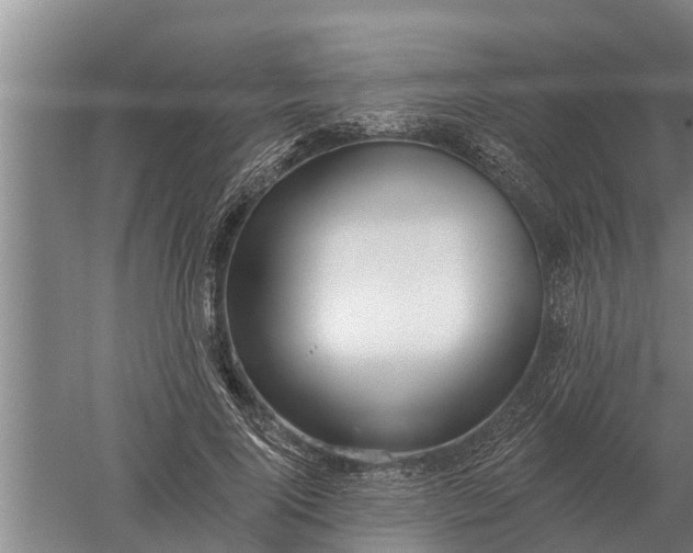 X0000052540740200507152132