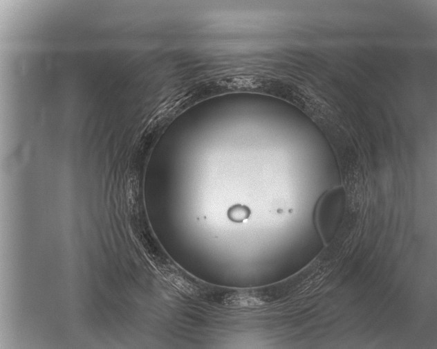 X0000052540747200507152132