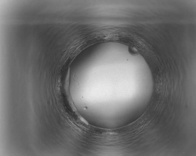 X0000052540748200507152132