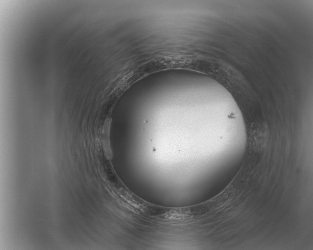 X0000052540756200507152132