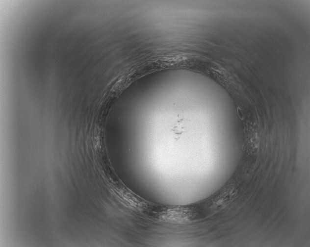 X0000052540758200507152132