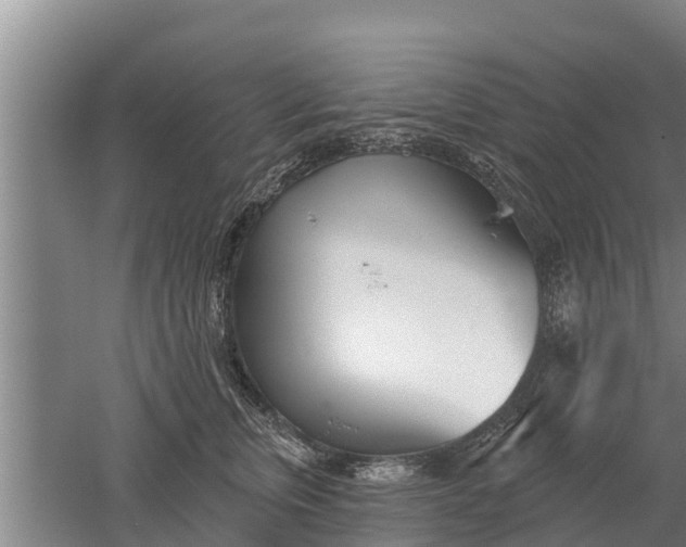 X0000052540759200507152132