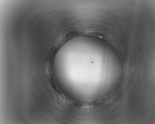 X0000052540760200507152132