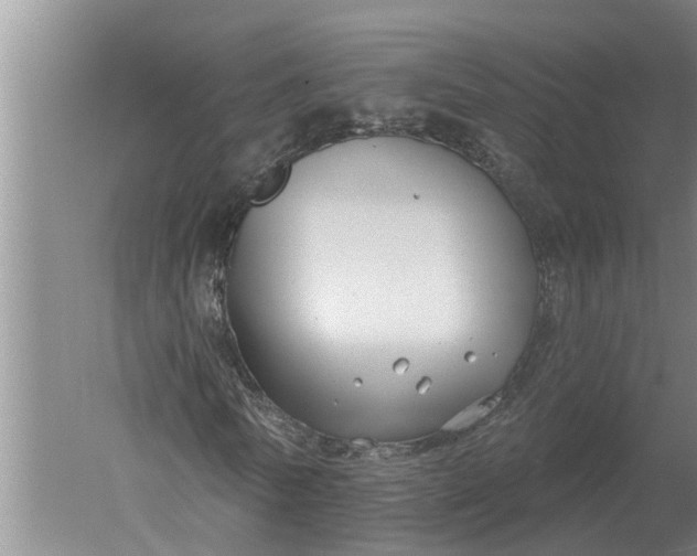 X0000052540770200507152132