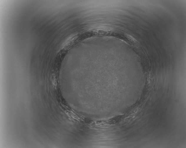 X0000052540774200507152132