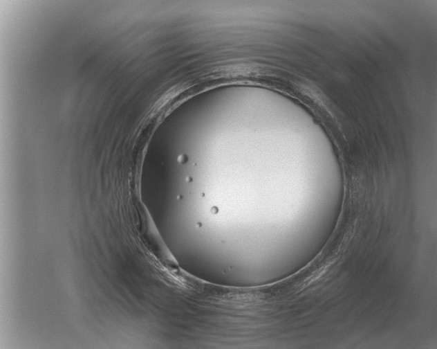 X0000052540778200507152132