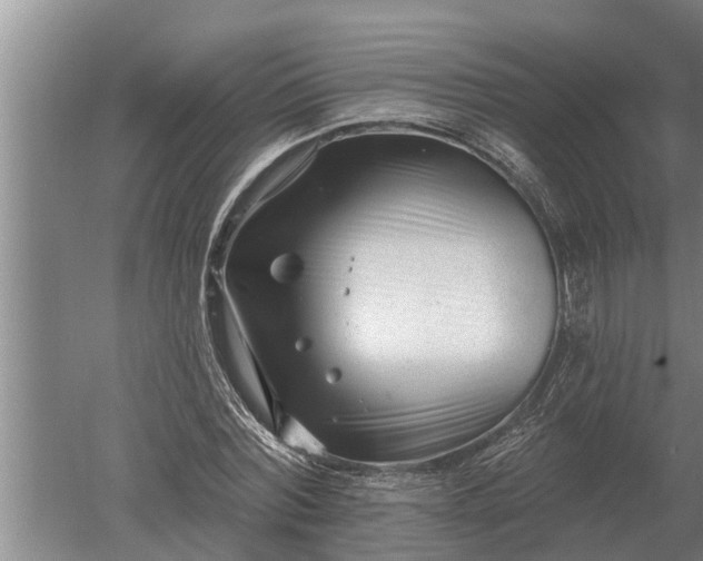 X0000052540780200507152132