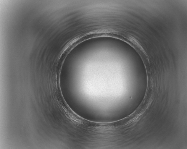 X0000052540781200507152132