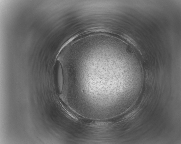 X0000052540782200507152132