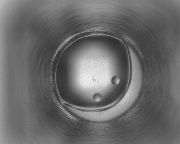 X0000052540784200507152132