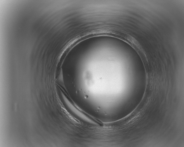 X0000052540789200507152131