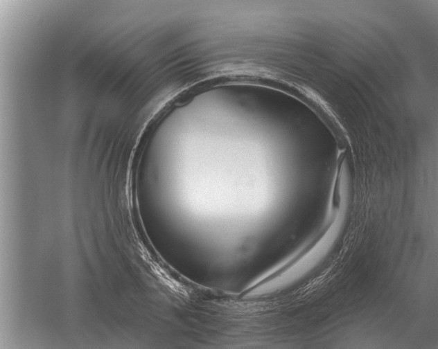 X0000052540791200507152131