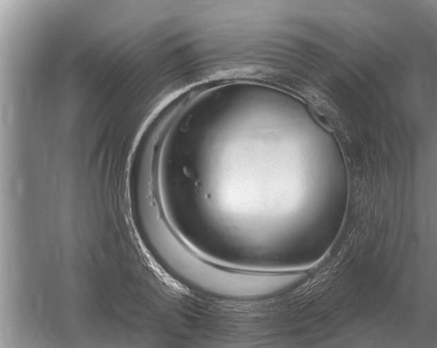 X0000052540792200507152131