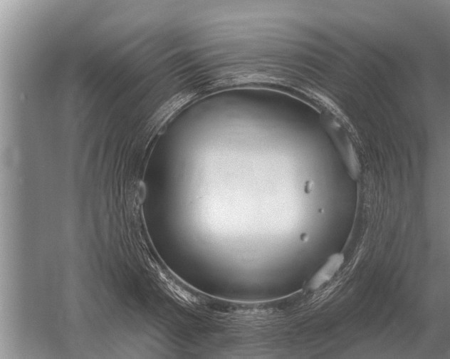 X0000052540793200507152131