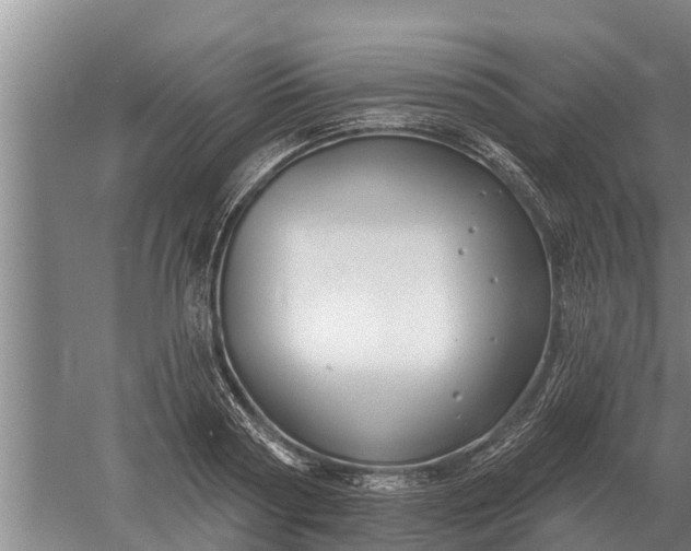 X0000052540794200507152131