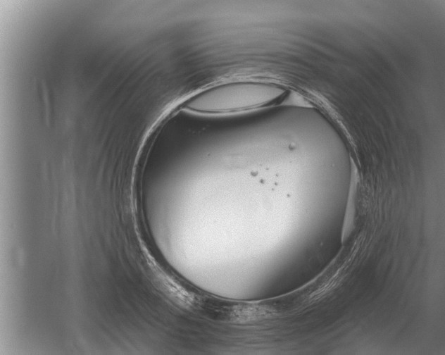 X0000052540795200507152131