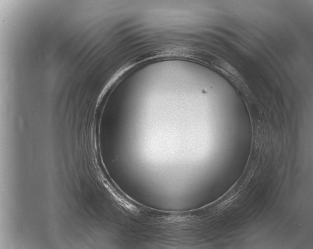 X0000052540796200507152131