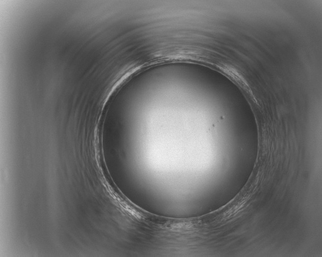 X0000052540798200507152131