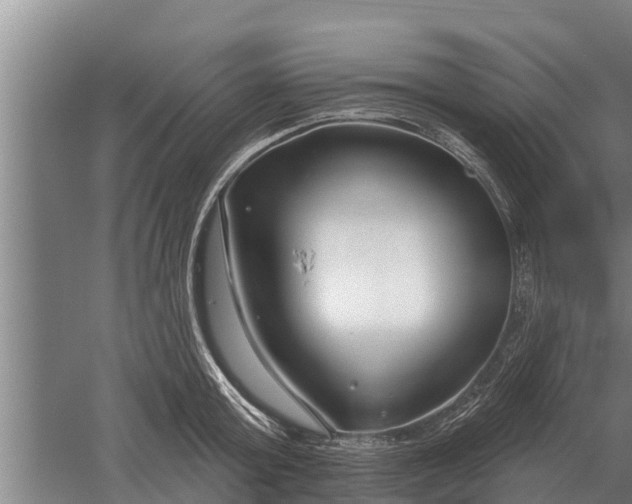 X0000052540803200507152131