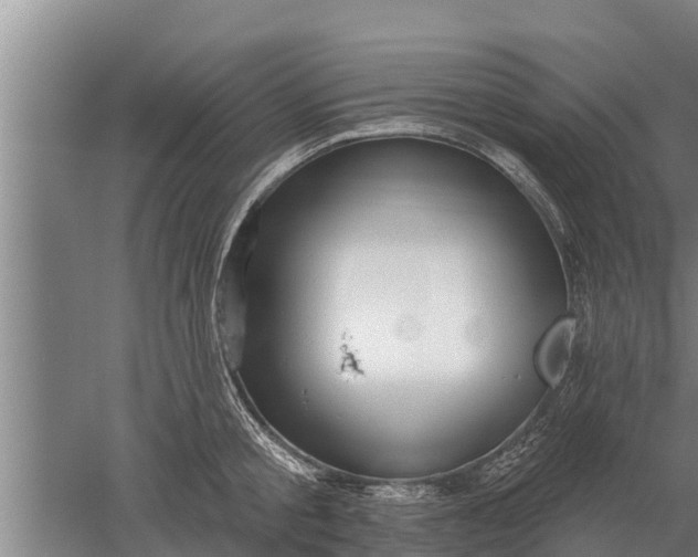 X0000052540805200507152131