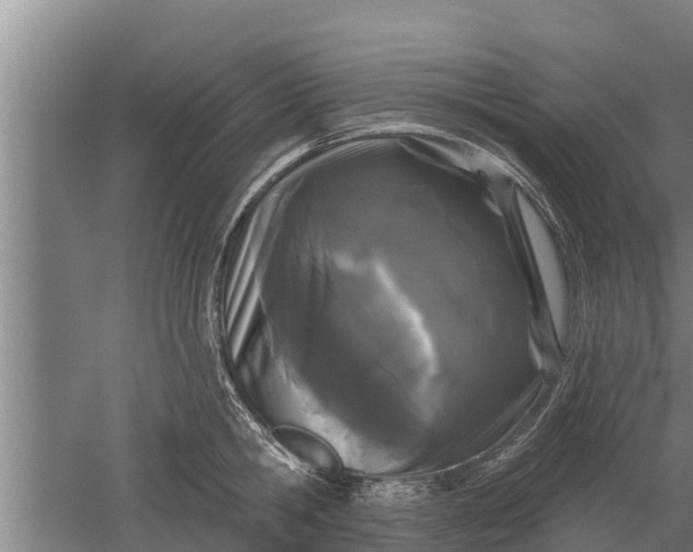 X0000052540806200507152131