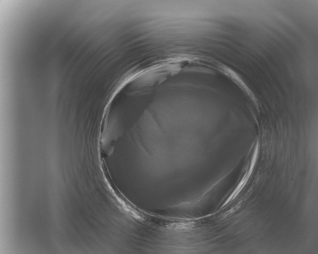 X0000052540810200507152131