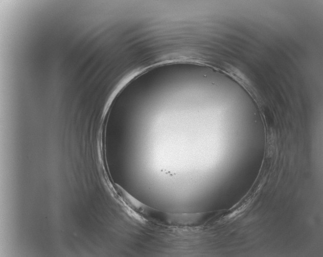 X0000052540812200507152131