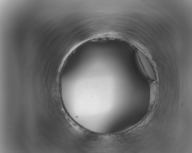 X0000052540816200507152131