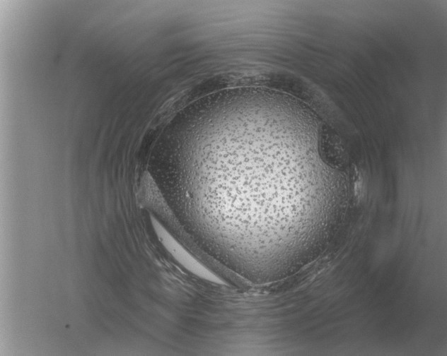 X0000052540819200507152130