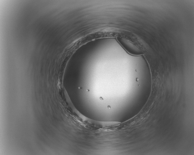 X0000052540821200507152130