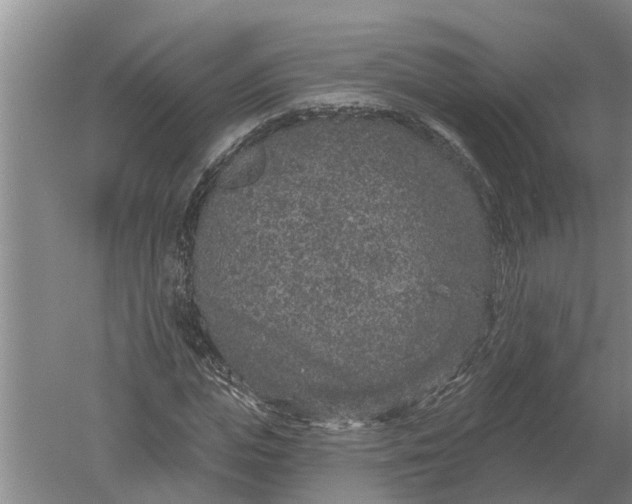 X0000052540823200507152130