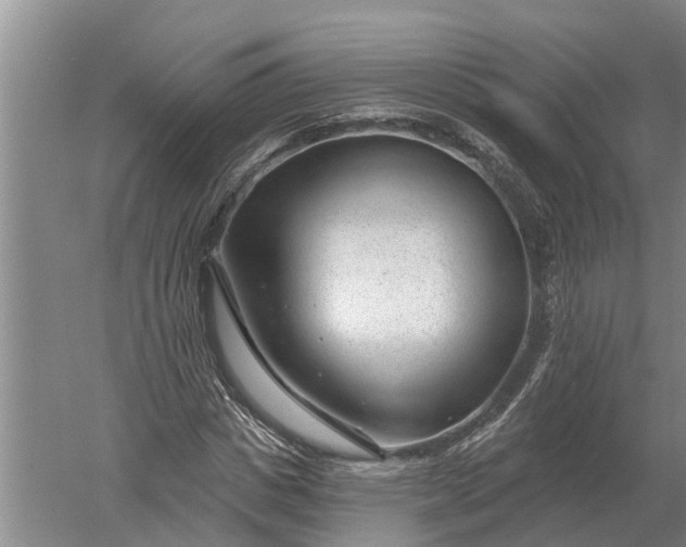 X0000052540825200507152130