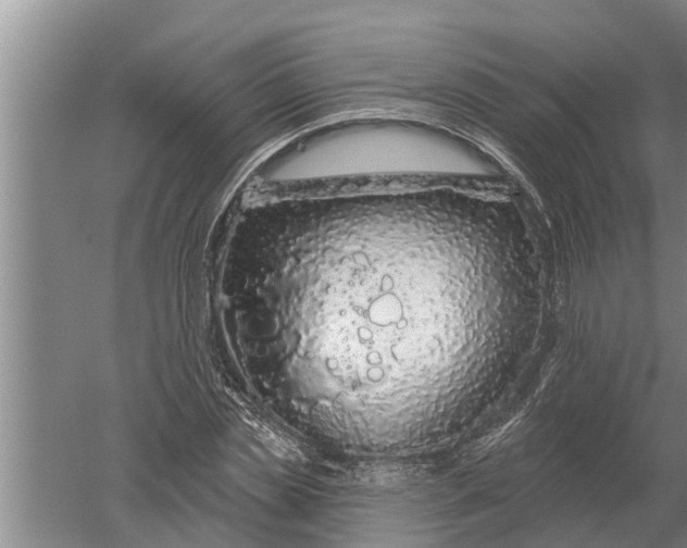 X0000052540829200507152130