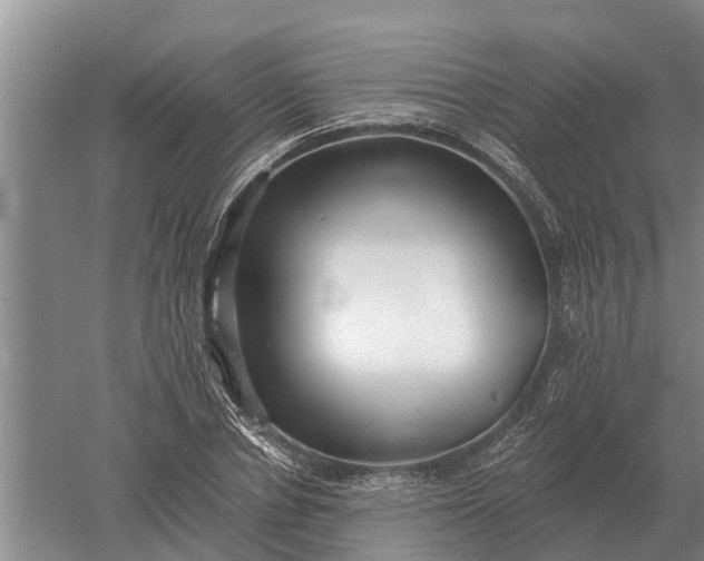 X0000052540834200507152130