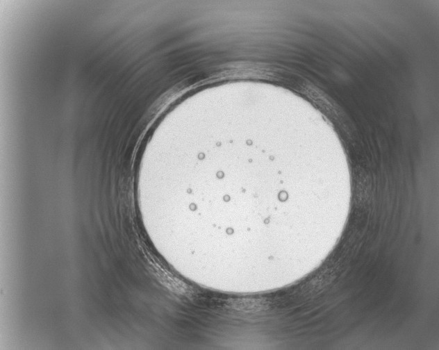 X0000052540836200507152130