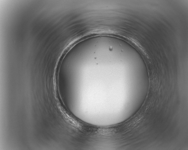 X0000052540840200507152131