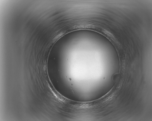 X0000052540841200507152131