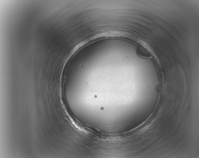 X0000052540845200507152131