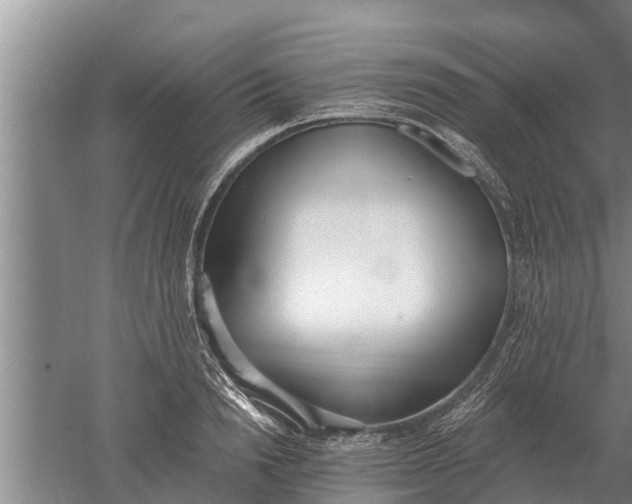 X0000052540846200507152131