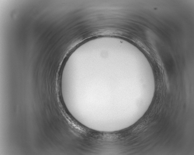 X0000052540848200507152131