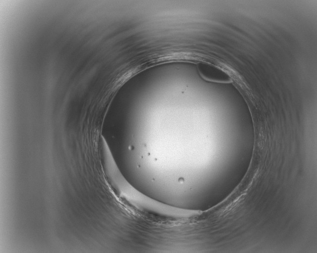 X0000052540849200507152131