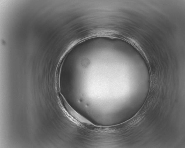 X0000052540851200507152131