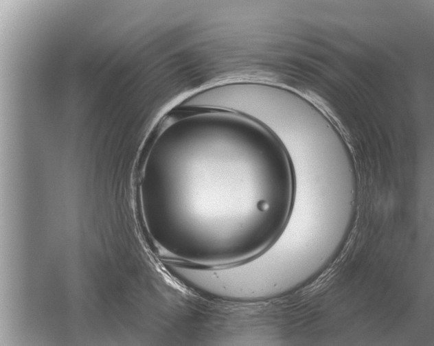 X0000052540854200507152131