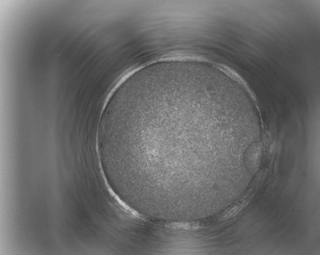 X0000052540855200507152131