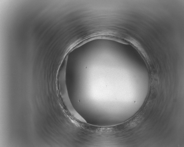 X0000052540858200507152131