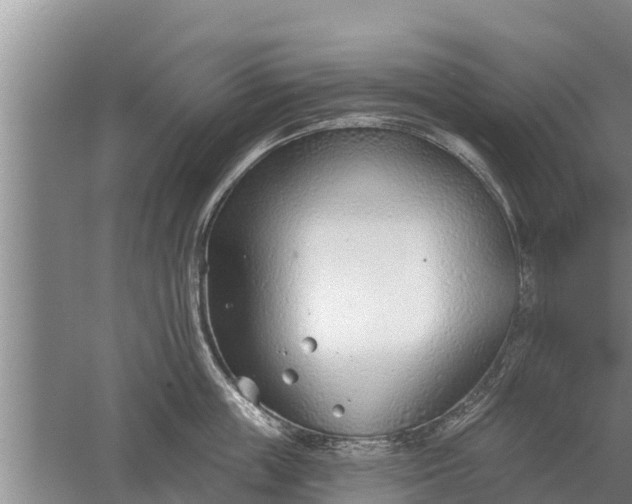 X0000052540859200507152131