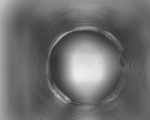 X0000052540860200507152131